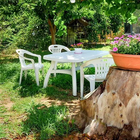 Nature's Playground New Listing2024 *
